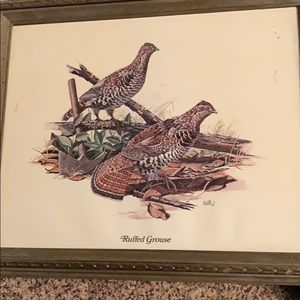 Balke Ruffled Grouse print